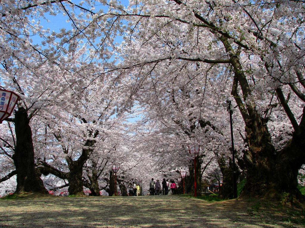 Agri In Holiday Hirosaki Dış mekan fotoğraf
